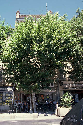 Quai Ganteaume, façade n° 12.