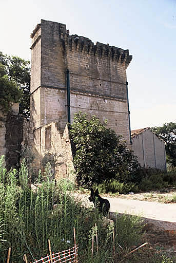 La tour, façade nord.