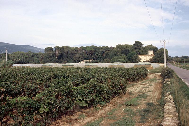 Le domaine vu de l'ouest depuis la RD 27.