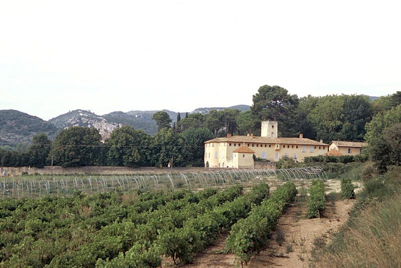 Le domaine et les premiers contreforts du Luberon vus du sud depuis la RD 139.