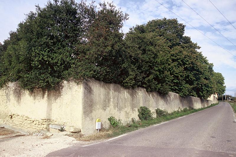 Mur de clôture du domaine, angle sud-ouest et alignement de tilleuls, vus de l'ouest depuis la RD 27.