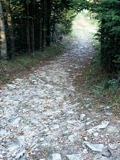 Chemin caladé.