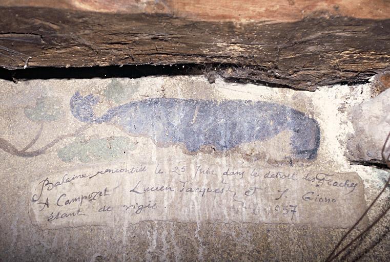 Inscription de la Baleine.