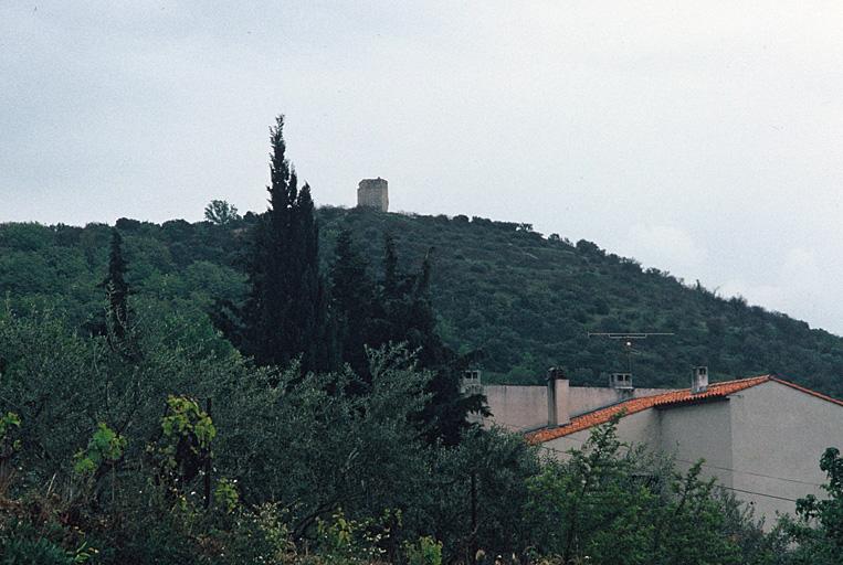 Vue générale du site.