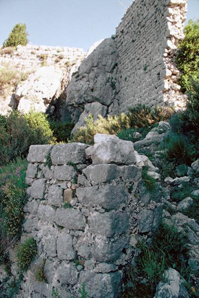 Oppidum dit Castellaras de Thorenc ou oppidum de Castellaras