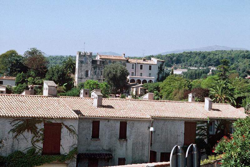 Vue d'ensemble du site.