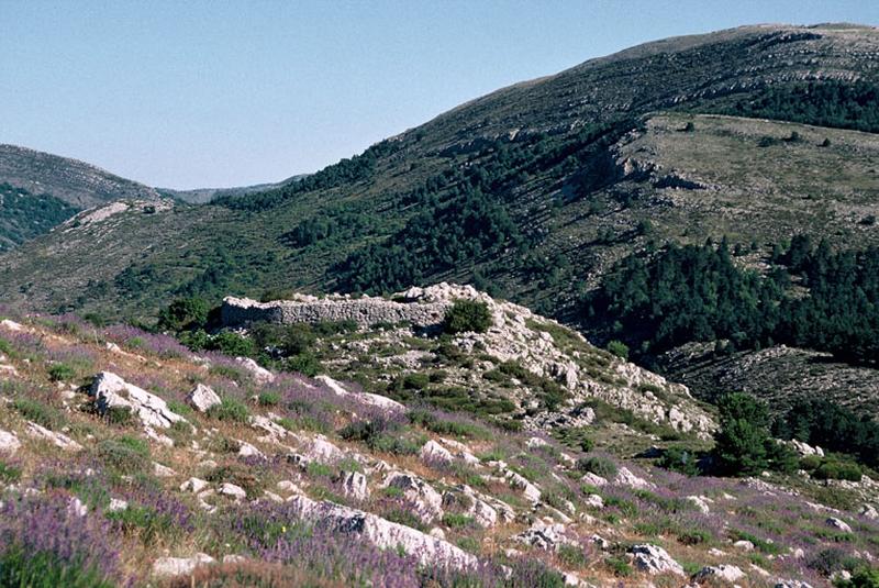 Site, mur d'enceinte.