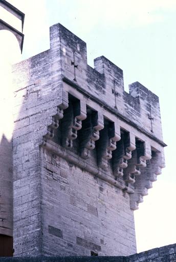 Tour carrée de l'enceinte, parties hautes.