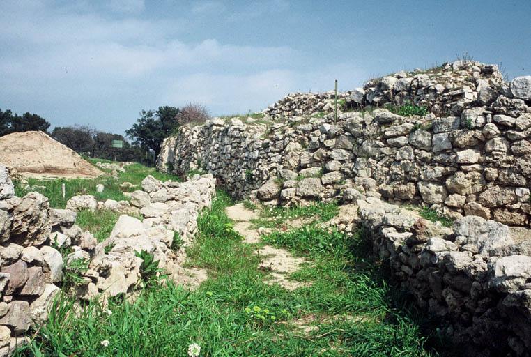 Vue générale sur traces archéologiques à Saint-Marcel.