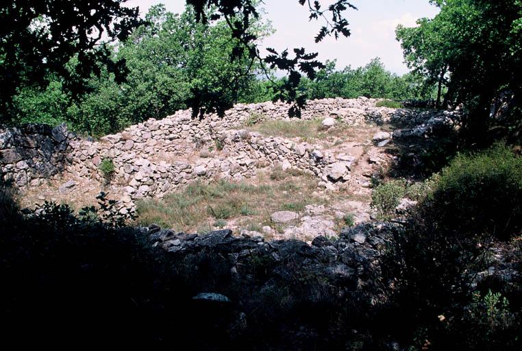 Vue générale des vestiges.