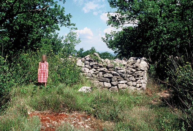 Vue générale des vestiges.