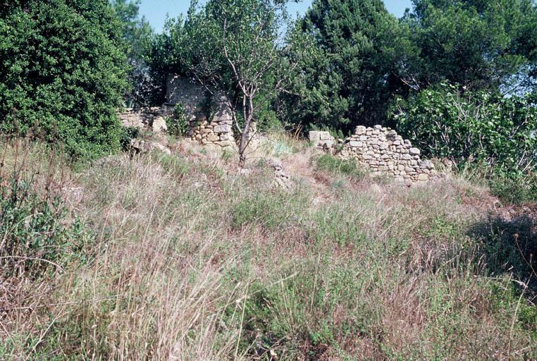 Vue générale des ruines.