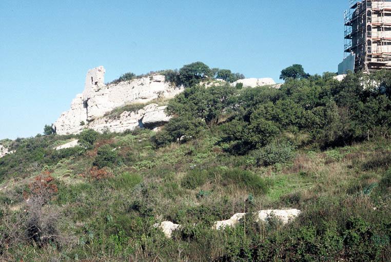 Vue générale du site du château.