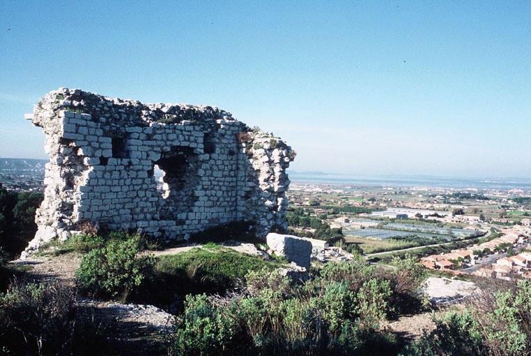 Vue générale des vestiges du château.