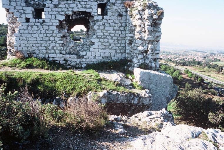 Vue générale des vestiges du château.