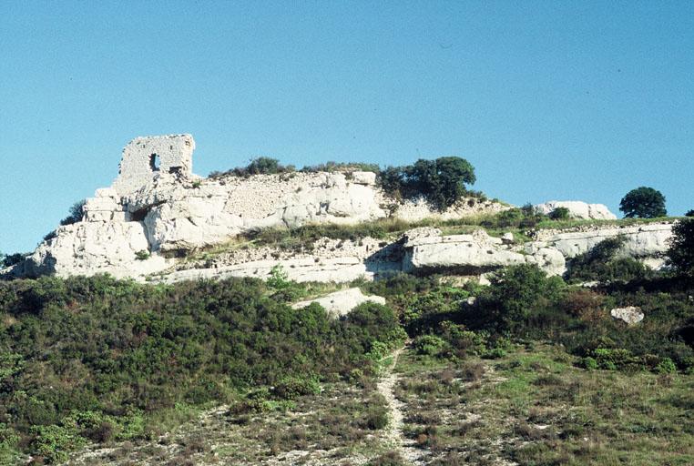 Vue générale des vestiges du château.