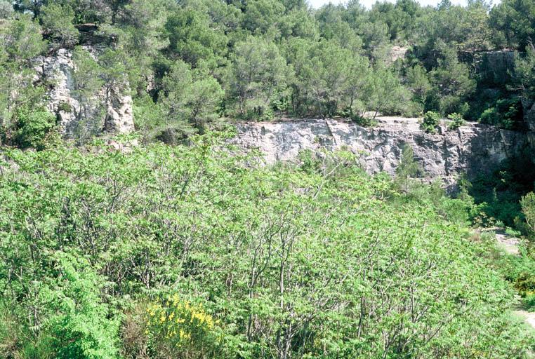 Vue générale des vestiges.