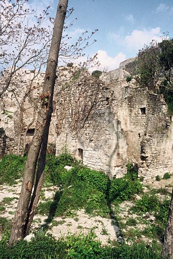 Vue générale des vestiges.