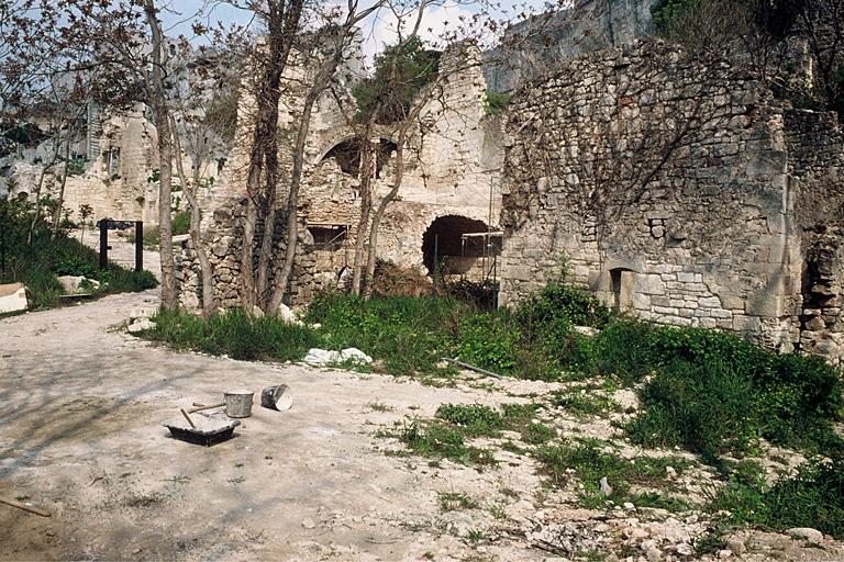 Vue générale des vestiges.