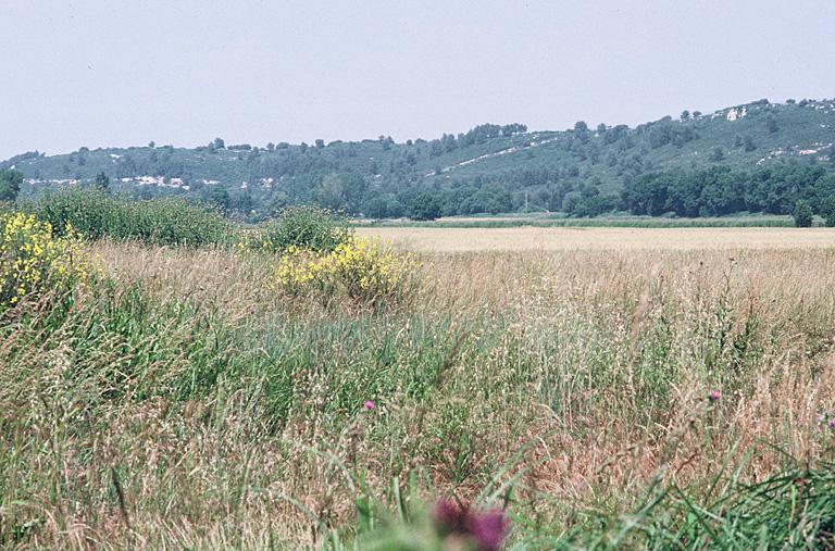 Vue générale du site archéologique.