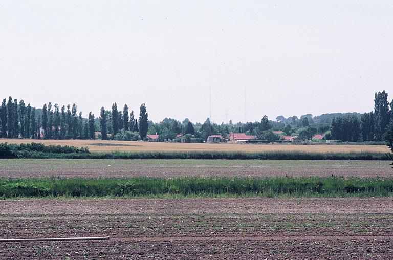 Vue générale du site archéologique.