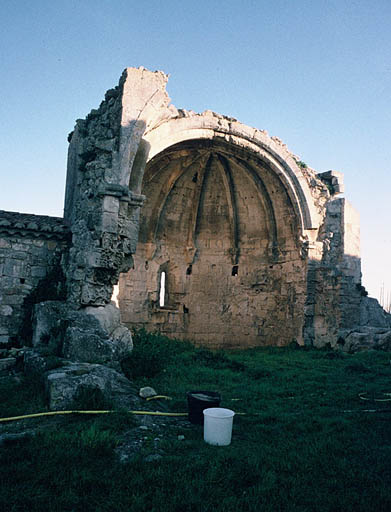 Vue générale des vestiges du choeur.