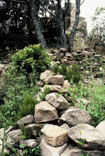 Mur de l'enclos.