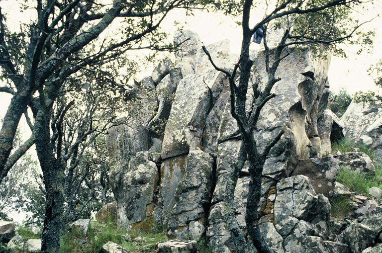 Site archéologique dit castrum Sainte-Magdeleine (ancien)