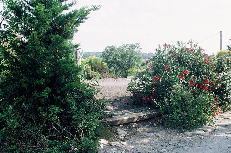 Site archéologique.