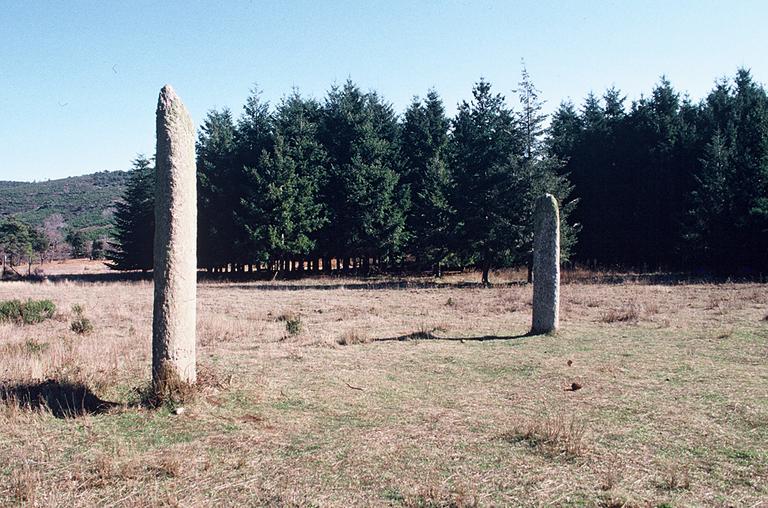 Menhir n°1 au premier plan.