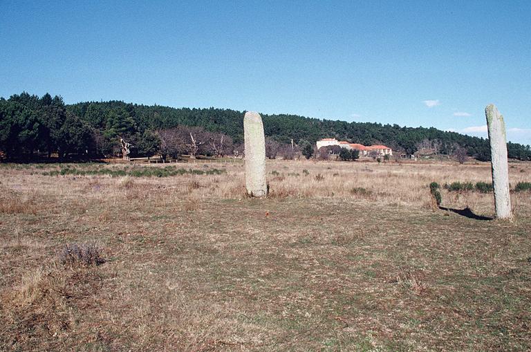 Menhir n°1 à gauche, n°2 à droite.