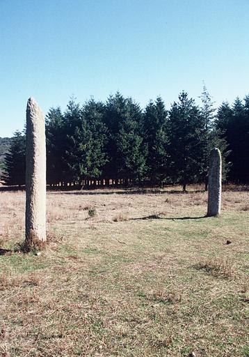 Menhir n°1 au premier plan, n°2 arrière plan.