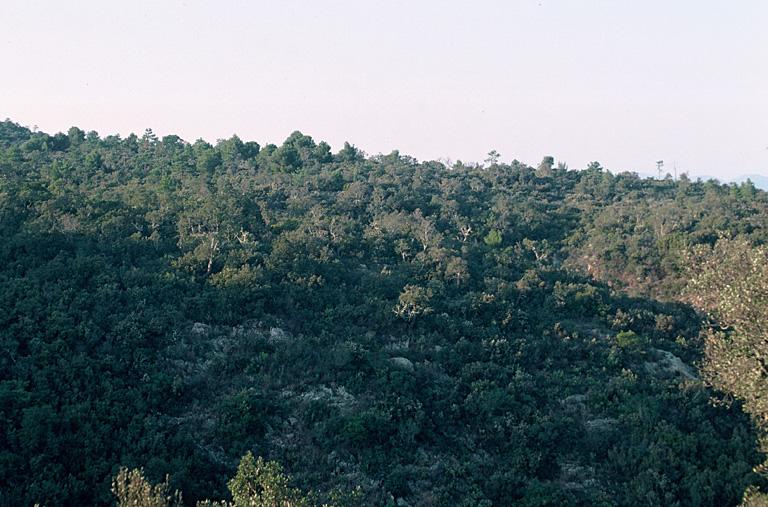 Environs du site.