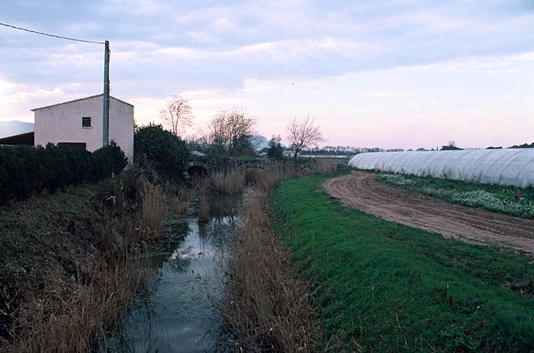 Vue générale du site.