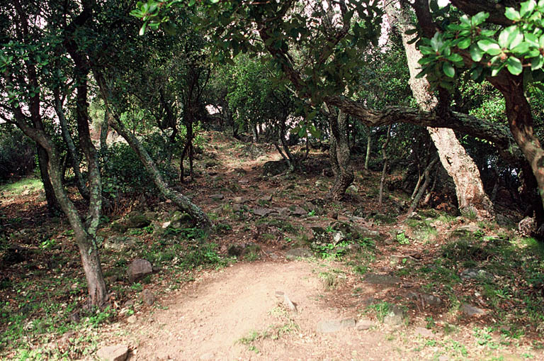 Site du castrum.