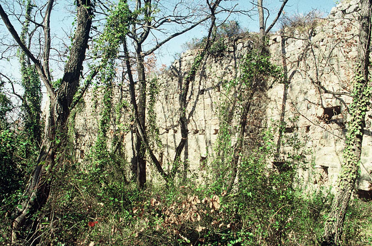 Vue générale, ruines.