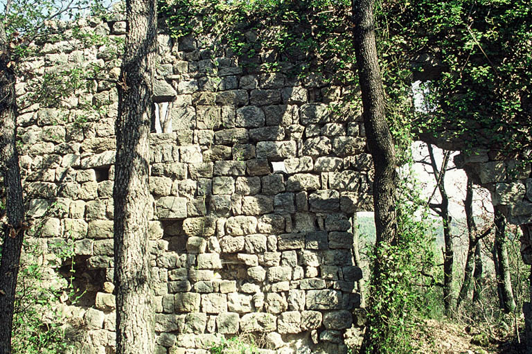 Vue générale, ruines.