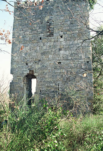 Vue générale, ruines du donjon.