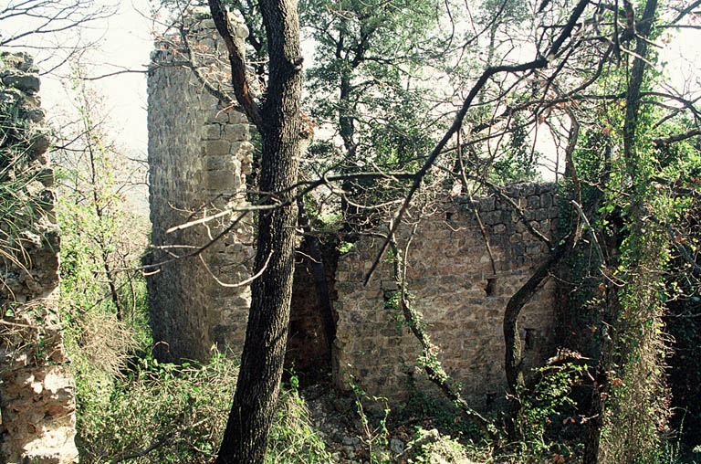 Vue générale, ruines.