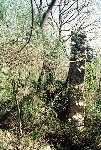 Vue générale, ruines.