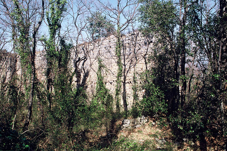 Vue générale, ruines.