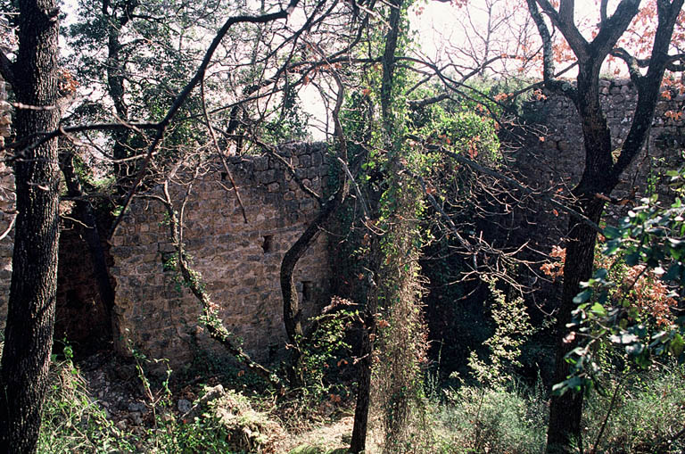 Vue générale, ruines.