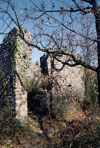 Vue générale, ruines.