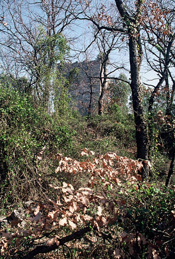 Vue générale, ruines.