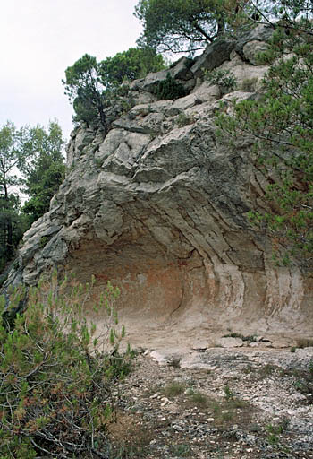 Vue générale.