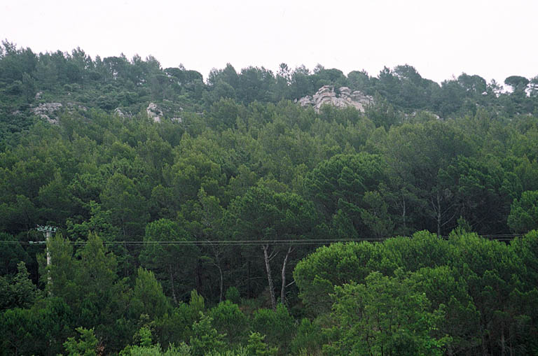 Vue générale du site.