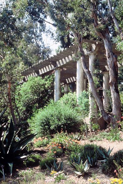 Pergola.