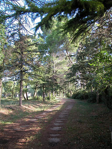 Allée du cimetière.