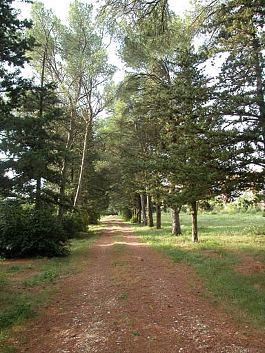 Allée du cimetière.