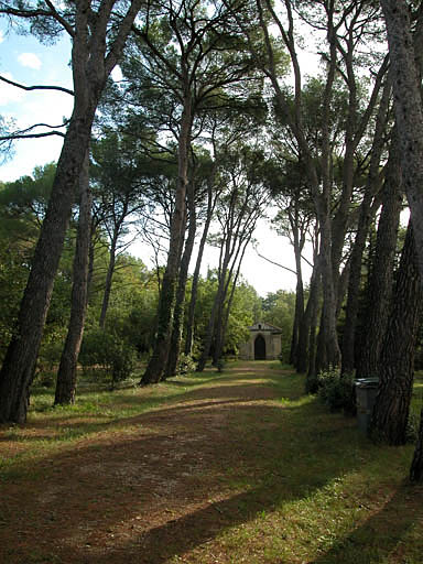 Cimetière israélite dit aussi cimetière juif